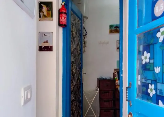 El Peque De Tamaide Tenerife Sur